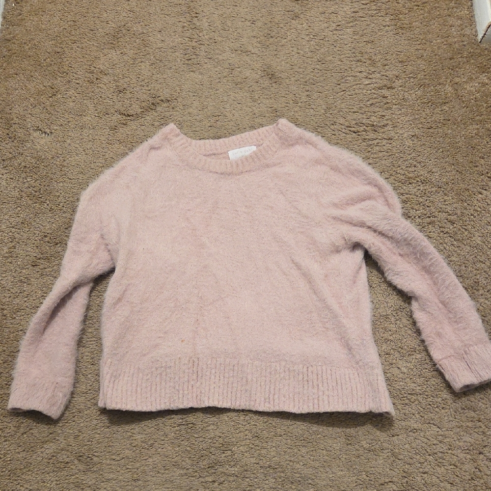 Bella Dahl Soft Pink Crew Neck Sweater